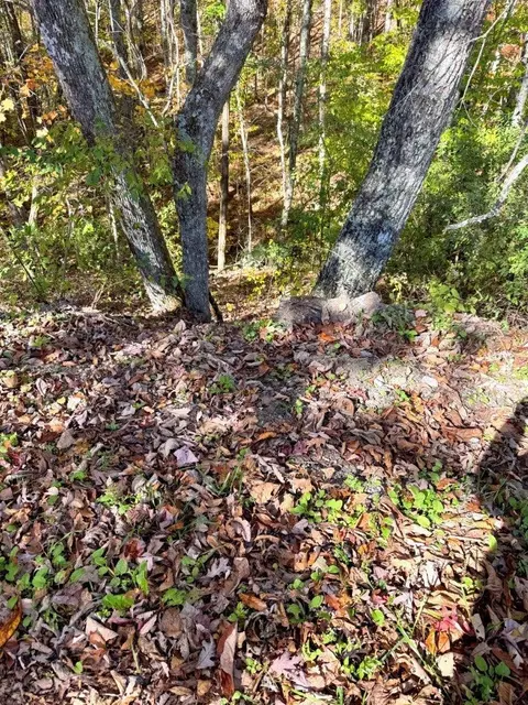 0 Bennett Mountain Rd, Shady Spring, WV 25918 photo 37
