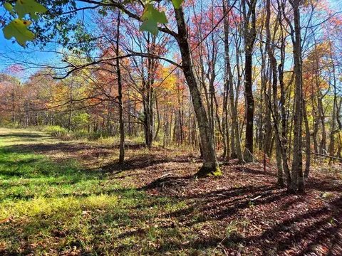 0 Bennett Mountain Rd, Shady Spring, WV 25918 photo 3