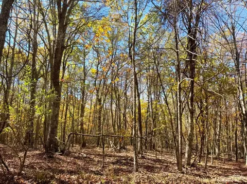 0 Bennett Mountain Rd, Shady Spring, WV 25918 photo 43