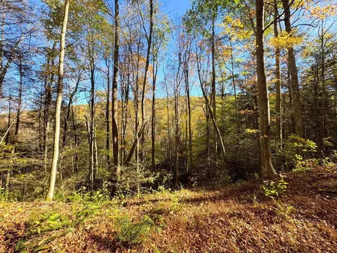0 Old Pluto Rd, Shady Spring, WV 25918 photo 33