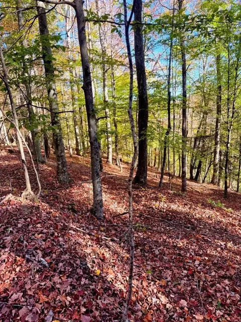 0 Old Pluto Rd, Shady Spring, WV 25918 photo 27