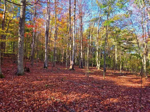 0 Old Pluto Rd, Shady Spring, WV 25918 photo 10