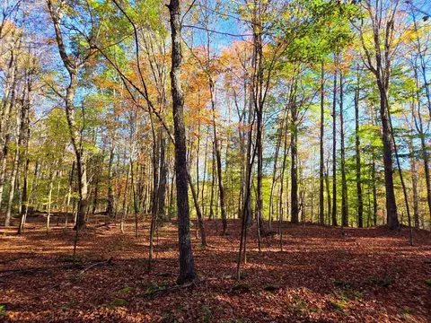 0 Old Pluto Rd, Shady Spring, WV 25918 photo 9