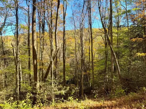 0 Old Pluto Rd, Shady Spring, WV 25918 photo 31