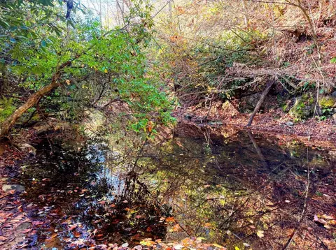 0 Old Pluto Rd, Shady Spring, WV 25918 photo 23