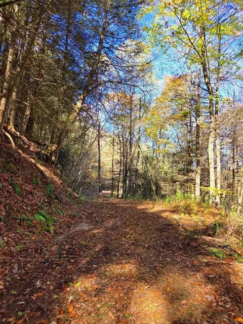0 Old Pluto Rd, Shady Spring, WV 25918 photo 18