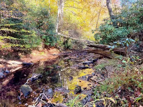 0 Old Pluto Rd, Shady Spring, WV 25918 photo 22