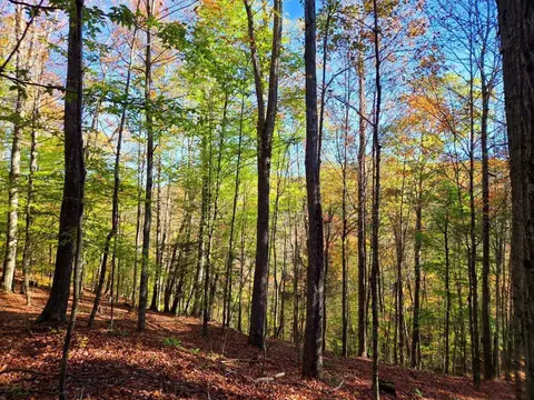 0 Old Pluto Rd, Shady Spring, WV 25918 photo 12