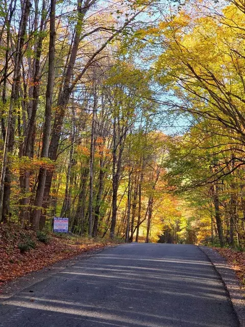 0 Old Pluto Rd, Shady Spring, WV 25918 photo 5