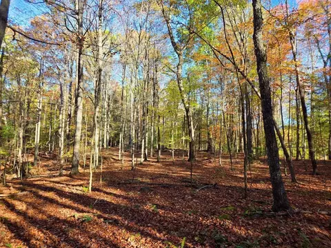 0 Old Pluto Rd, Shady Spring, WV 25918 photo 8