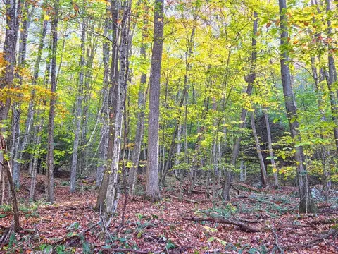 0 Old Pluto Rd, Shady Spring, WV 25918 photo 7
