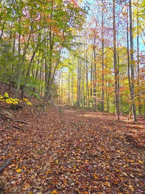 0 Old Pluto Rd, Shady Spring, WV 25918 photo 16