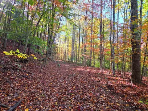 0 Old Pluto Rd, Shady Spring, WV 25918 photo 17