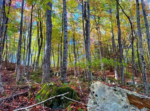 0 Old Pluto Rd, Shady Spring, WV 25918 photo 28