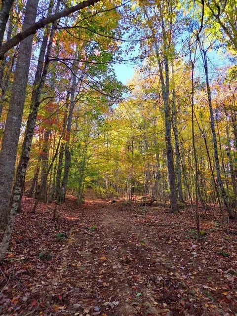 0 Old Pluto Rd, Shady Spring, WV 25918 photo 14