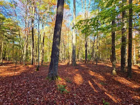 0 Old Pluto Rd, Shady Spring, WV 25918 photo 11