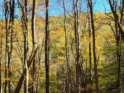 0 Old Pluto Rd, Shady Spring, WV 25918 photo 32
