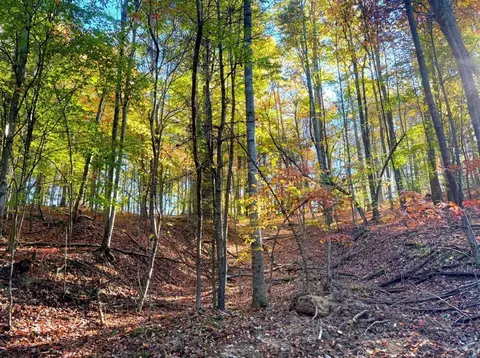 0 Old Pluto Rd, Shady Spring, WV 25918 photo 24
