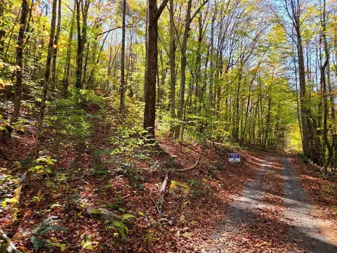 0 Backus Mountain Rd, Meadow Bridge, WV 25976