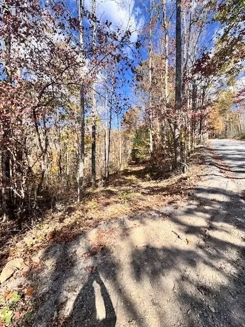 0 Hendrickson Rd, Pembroke, VA 24136