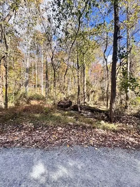 0 Dry Branch Rd, Pembroke, VA 24136