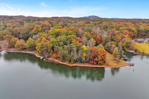0 Thomason Ln, Goodview, VA 24095
