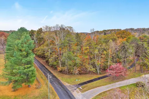 0 Thomason Ln, Goodview, VA 24095 photo 5