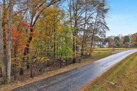 0 Thomason Ln, Goodview, VA 24095 photo 4