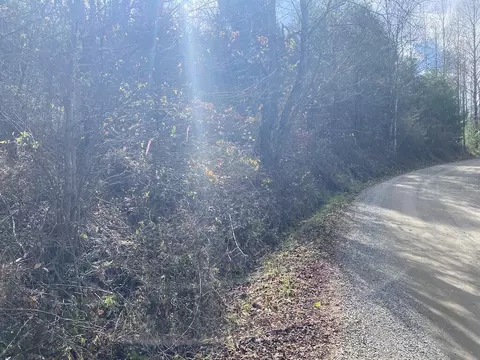 tbd Merifield Rd, Willis, VA 24380 photo 25