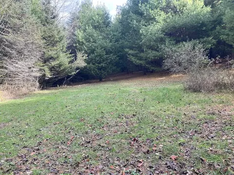 tbd Merifield Rd, Willis, VA 24380 photo 4