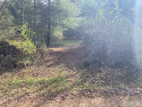 tbd Merifield Rd, Willis, VA 24380 photo 2
