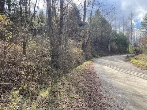 tbd Merifield Rd, Willis, VA 24380 photo 24