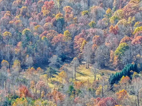 Other - 6548 Goodview Rd, Goodview, VA 24095 photo 15 of 25