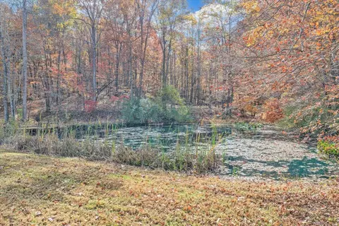 Other - 6548 Goodview Rd, Goodview, VA 24095 photo 18 of 25