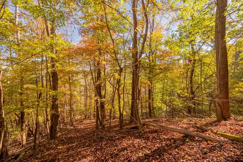 tbd Lick Ridge Rd, Check, VA 24072 photo 56