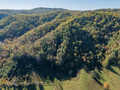 tbd Lick Ridge Rd, Check, VA 24072 photo 32