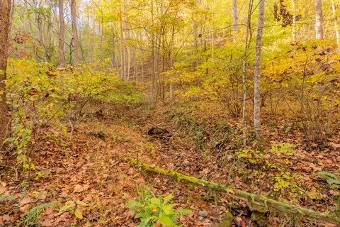 tbd Lick Ridge Rd, Check, VA 24072 photo 44