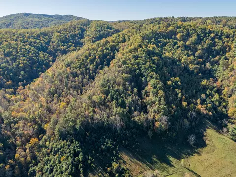 tbd Lick Ridge Rd, Check, VA 24072 photo 30