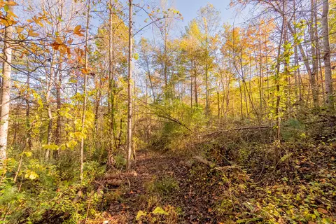 tbd Lick Ridge Rd, Check, VA 24072 photo 51
