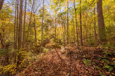 tbd Lick Ridge Rd, Check, VA 24072 photo 50