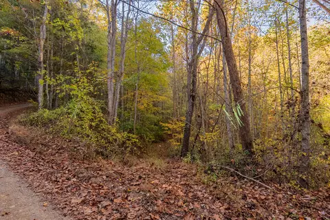 tbd Lick Ridge Rd, Check, VA 24072 photo 69
