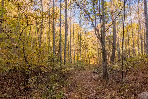 tbd Lick Ridge Rd, Check, VA 24072 photo 43