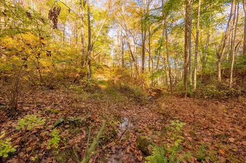 tbd Lick Ridge Rd, Check, VA 24072 photo 47