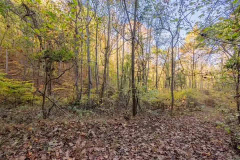 tbd Lick Ridge Rd, Check, VA 24072 photo 42
