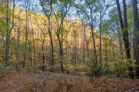 tbd Lick Ridge Rd, Check, VA 24072 photo 40