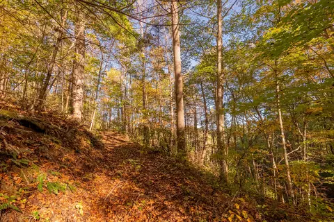 tbd Lick Ridge Rd, Check, VA 24072 photo 49