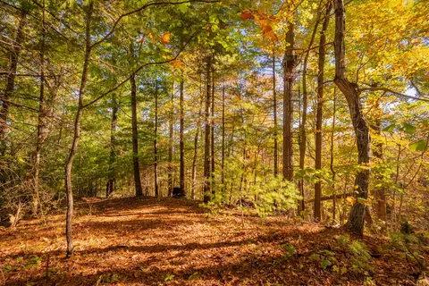 tbd Lick Ridge Rd, Check, VA 24072 photo 61