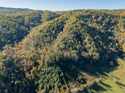 tbd Lick Ridge Rd, Check, VA 24072