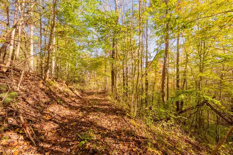 tbd Lick Ridge Rd, Check, VA 24072 photo 53