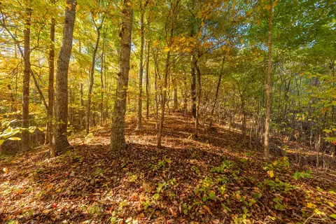 tbd Lick Ridge Rd, Check, VA 24072 photo 66